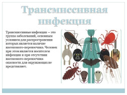 Трансмиссивные болезни