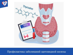 Профилактика заболеваний щитовидной железы