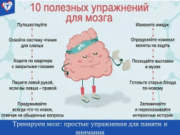 ТРЕНИРУЕМ МОЗГ: УПРАЖНЕНИЯ ДЛЯ ПАМЯТИ И ВНИМАНИЯ